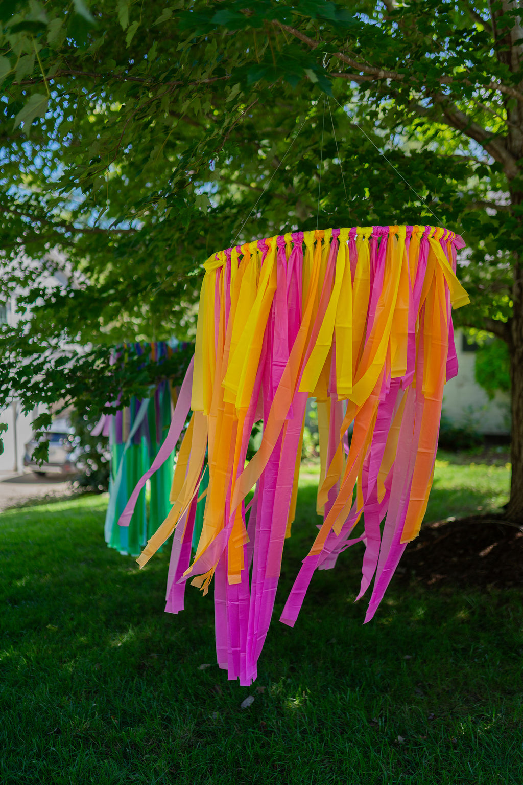 PartyBomb Tree Rings