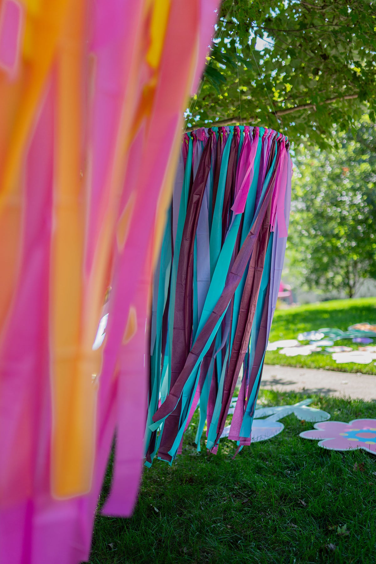 PartyBomb Tree Rings